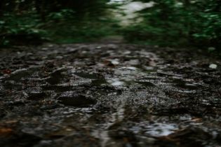 污泥检测分析